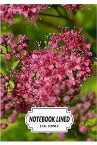 Flowering Time Notebook: Notebook / Journal / Diary; Lined Pages