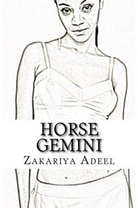 Horse Gemini