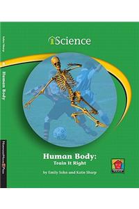 Human Body