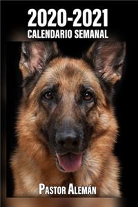 2020-2021 Calendario Semanal Pastor Alemán