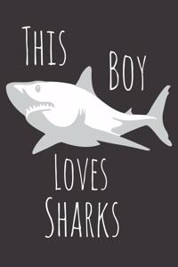 This Boy Loves Sharks
