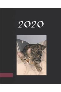 2020 Planner Weekly & Monthly