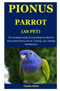 Pionus Parrot As Pet