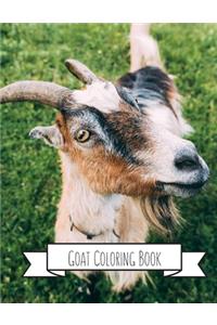 Goat Coloring Book