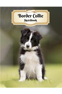 Border Collie Sketchbook