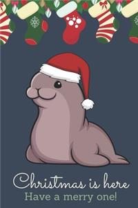 Christmas Is Here Have A Merry One