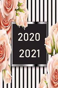 2020 / 2021