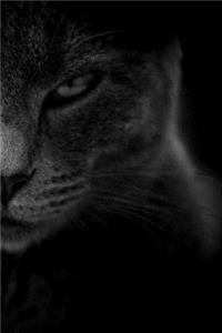 Angry Cat Notebook