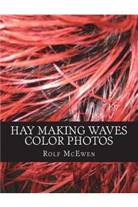 Hay Making Waves - Color Photos