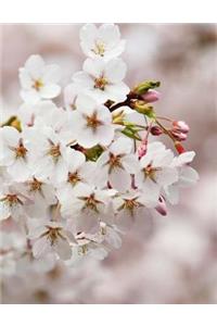 Cherry Blossom Notebook Large Size 8.5 x 11 Ruled 150 Pages Softcover