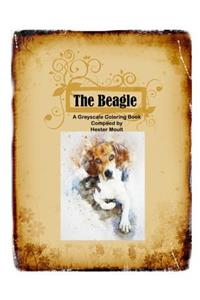 The Beagle