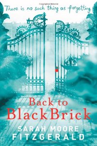 Back to Blackbrick