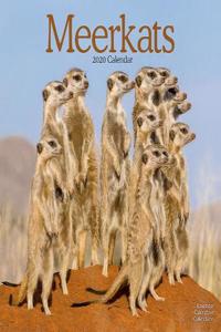 Meerkats Calendar 2020