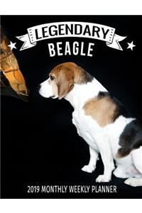 Legendary Beagle 2019 Monthly Weekly Planner