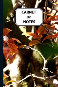 Carnet de Notes