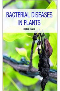 BACTERIAL DISEASES IN PLANTS