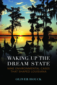 Waking Up the Dream State