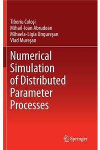 Numerical Simulation of Distributed Parameter Processes
