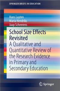 School Size Effects Revisited