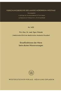 Einzelfunktionen Der Niere Beim Akuten Nierenversagen