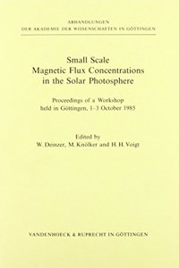 Small Scale Magnetic Flux Concentrations in the Solar Photosphere