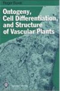 Ontogeny, Cell Differentiation, and Structure of Vascular Plants