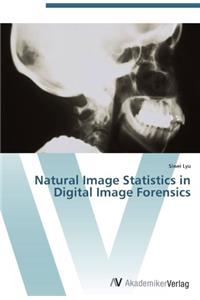 Natural Image Statistics in Digital Image Forensics