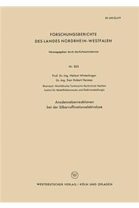 Anodennebenreaktionen bei der Silberraffinationselektrolyse