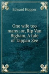 One wife too many; or, Rip Van Bigham, A tale of Tappan Zee