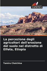 percezione degli agricoltori dell'erosione del suolo nel distretto di Elfeta, Etiopia