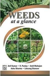 Weeds At A Glance