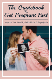 The Guidebook To Get Pregnant Fast