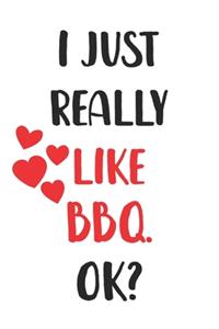 I Just Really Like BBQ, Ok? Gift For Men, Women, Kids, Cute Notebook a Beautiful