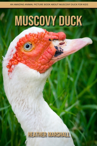 Muscovy Duck