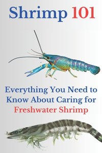 Shrimp 101