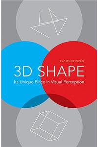 3D Shape