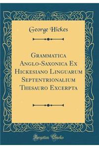 Grammatica Anglo-Saxonica Ex Hickesiano Linguarum Septentrionalium Thesauro Excerpta (Classic Reprint)