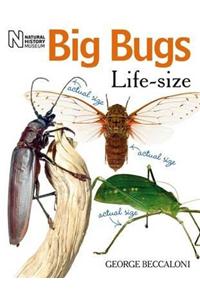 Big Bugs Life-Size