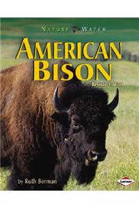 American Bison