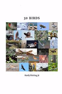 30 Birds