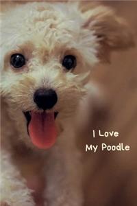 I Love My Poodle