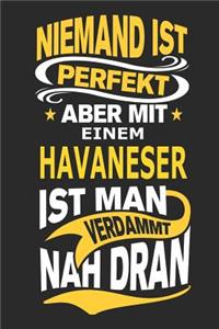 Niemand ist perfekt aber mit einem Havaneser ist man verdammt nah dran