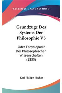 Grundzuge Des Systems Der Philosophie V3