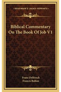 Biblical Commentary on the Book of Job V1