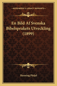 En Bild Af Svenska Bibelsprakets Utveckling (1899)