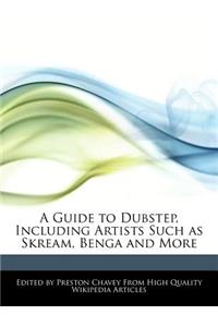 A Guide to Dubstep, Including Artists Such as Skream, Benga and More