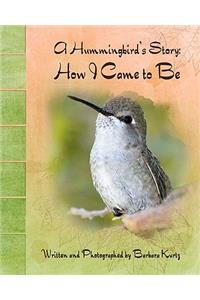 Hummingbird's Story