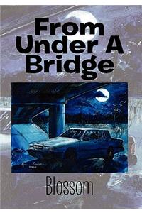 From Under a Bridge
