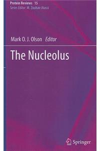 Nucleolus