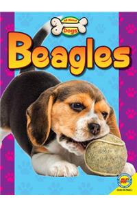 Beagles